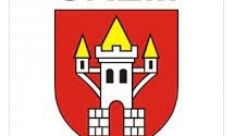 Kampania sprawozdawcza w śremskich ROD