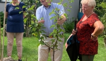 Letni pokaz cięcia drzew i krzewów w ROD 