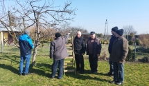 Pokaz cięcia wiosennego drzew owocowych w ROD „Karola” w Witkowie