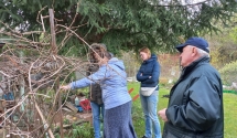 Pokaz cięcia i szczepienia drzew w ROD „Urodzaj” w Poznaniu