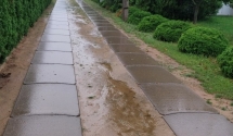 Nowa  droga w ROD im. M. Konopnickiej w Wolsztynie