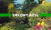Przedstawiamy kolejne odcinki programu 