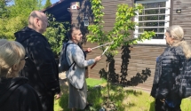 Pokaz wiosennego cięcia drzew i krzewów w ROD „Wilda” w Poznaniu