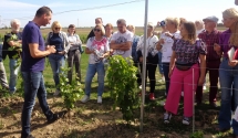 Szkolenie dla Instruktorów SSI i działkowców Okręgu Poznańskiego z uprawy winorośli