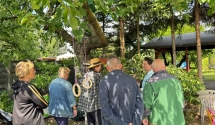 Spacer dendrologiczny w ROD im. Roosevelta w Poznaniu